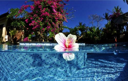 Hostal Tirta Ening Agung Hotel