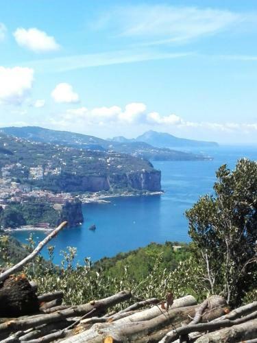 B&B Villa Scutolo