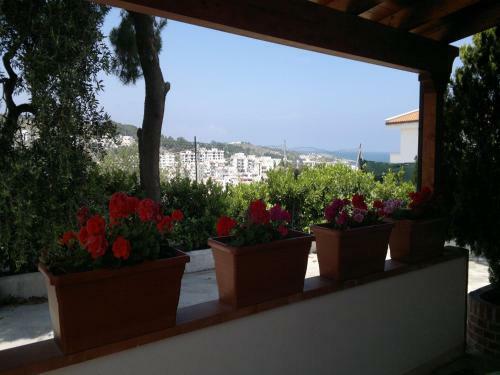 Apartamento Viestecasa