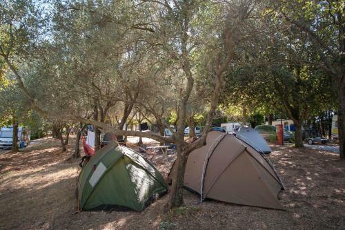 Camping Le Balze Volterra
