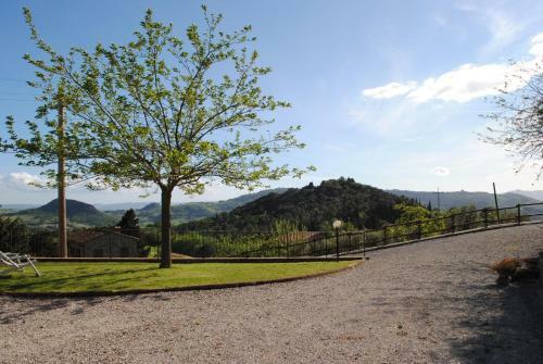 Il Fontino
