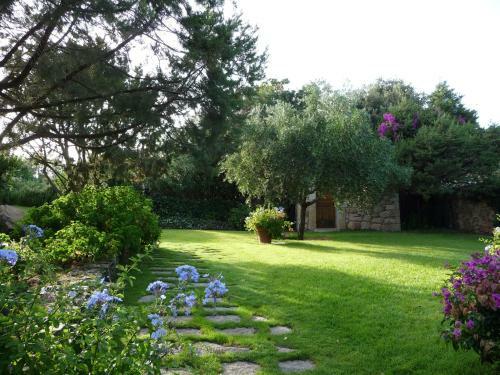 Villa Oleandra Al Pevero