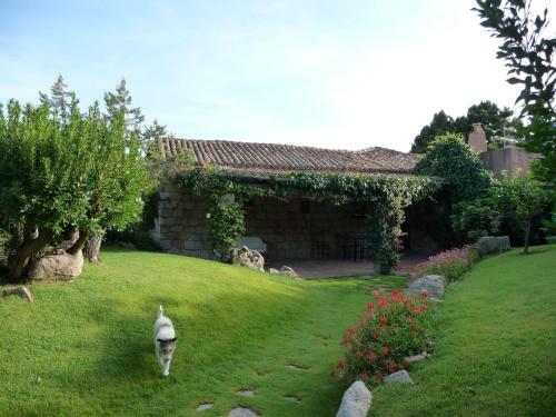 Villa Oleandra Al Pevero