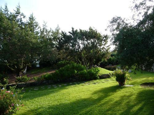 Villa Oleandra Al Pevero