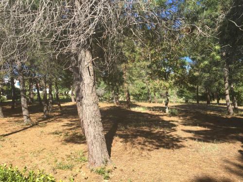 Apartamento Residenza Gherly