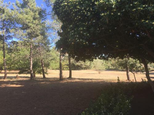 Apartamento Residenza Gherly