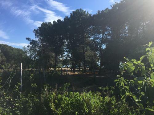 Apartamento Residenza Gherly