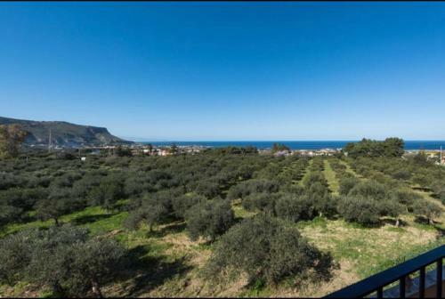 Apartamento Casa Belvedere