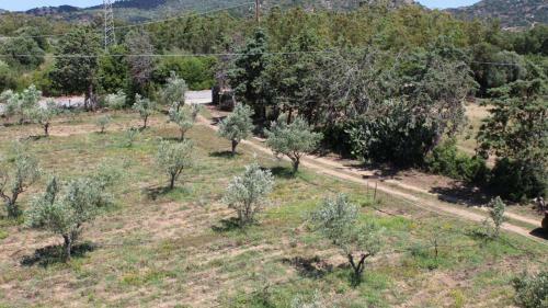 Apartamento Italianway - Berchida Casa Maria