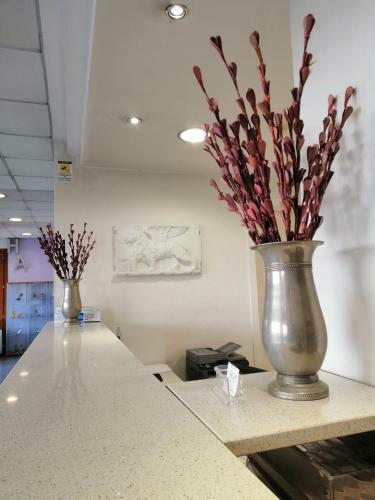 Ahr Hotel Antille