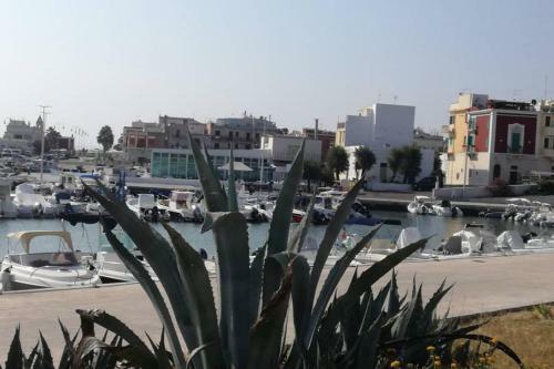 Apartamento Villa Bianca
