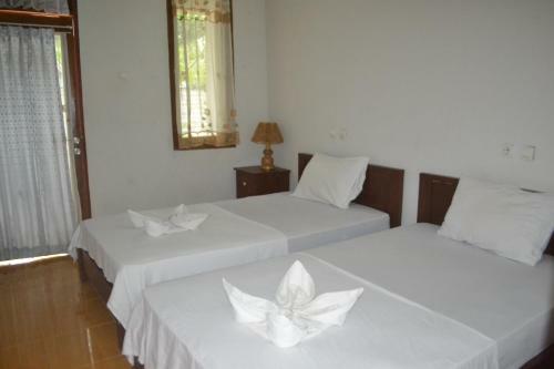 Hostal Kia Yazo