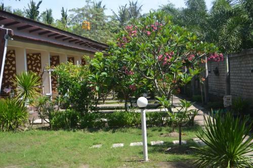 Hostal Kia Yazo