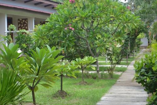 Hostal Kia Yazo