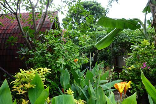 Banana Leaf Bungalows