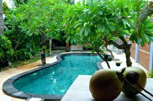 Coconut Dream Bungalow