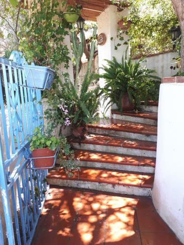 Villa The Mountain Gardens