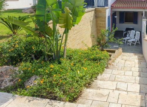 Apartamento Appartamento Dasylirion