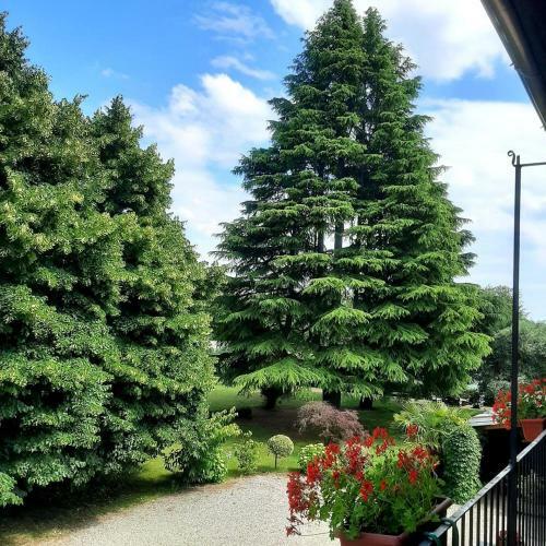 Bed & Breakfast Tommy Vitello Camere