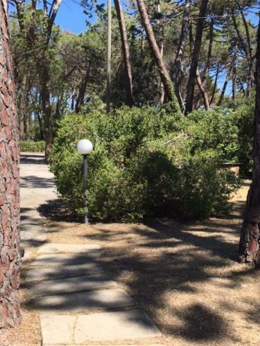 Maremmare Tuscany Apartments
