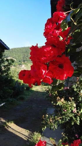 Agroturismo Agriturismo Tenuta San Giuseppe