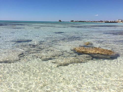Acqua Marina Casa Vacanza
