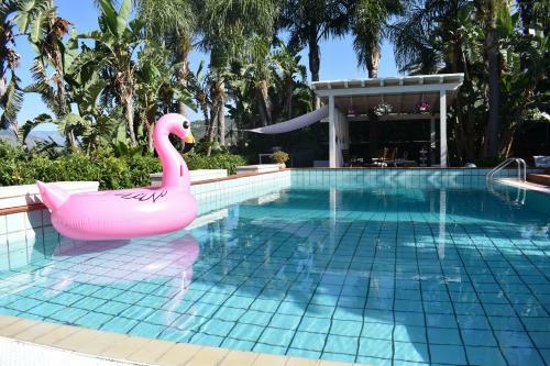 Stunning Villa With Private Pool (Chlorine-free) And Garden