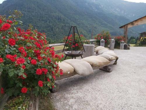 Agroturismo Agritur La Dasa