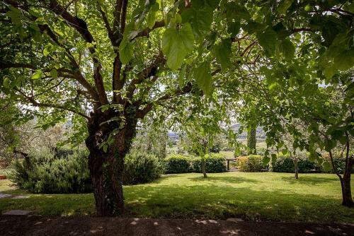 Sant'enea Villa Sleeps 7 Pool Wifi