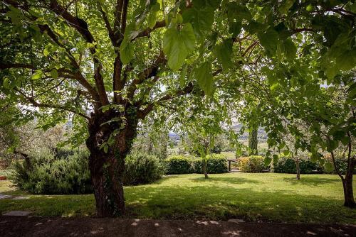 Sant'enea Villa Sleeps 4 Pool Wifi