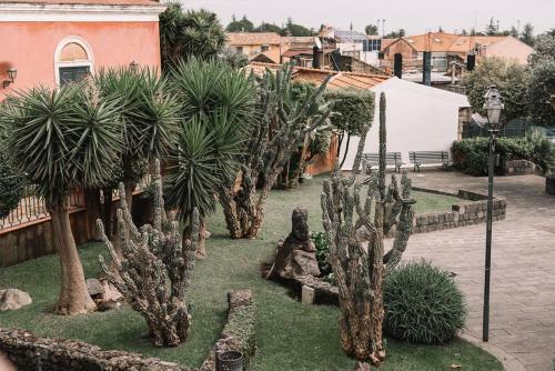 Tisa Guest House