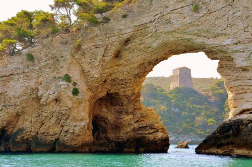 Apartment With One Bedroom In Torre Pali