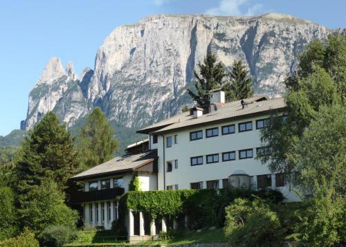 Hostal Pension Fellis