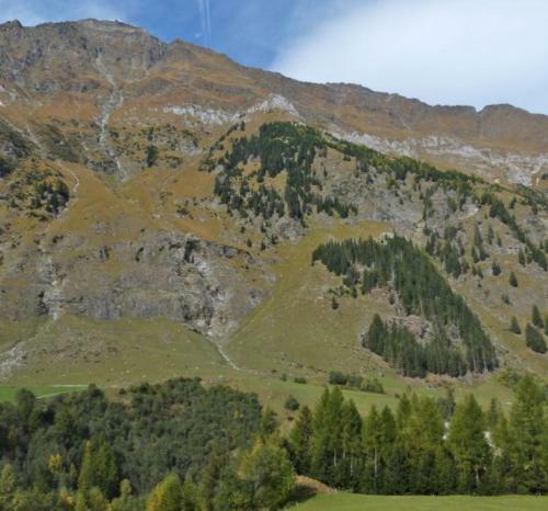 Apartamento Ferienhaus Maria Steinr�serl