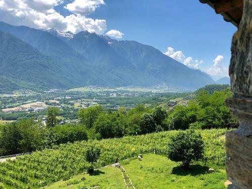 Bed & Breakfast Agriturismo Cavria