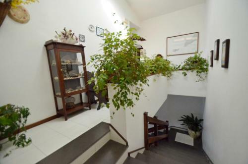 Amore Rentals - Villa Posidonia