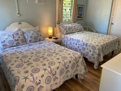Bed & Breakfast The Blue Orchid