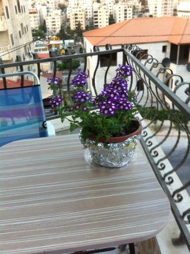 The Gardens Apartment