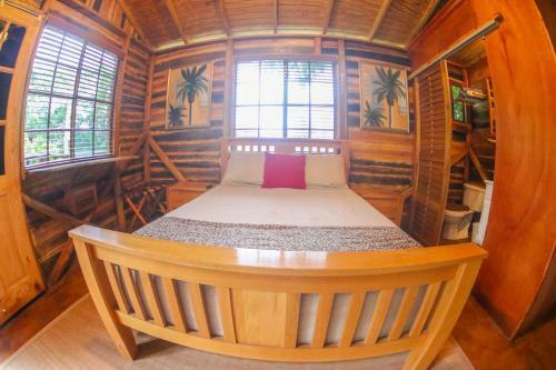 Hostal The Blue Mahoe Tree House