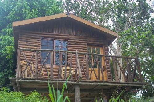 Hostal The Blue Mahoe Tree House