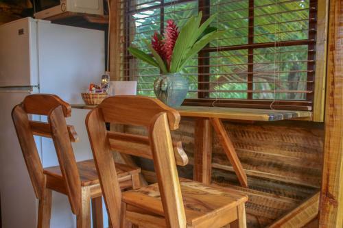 Hostal The Blue Mahoe Tree House