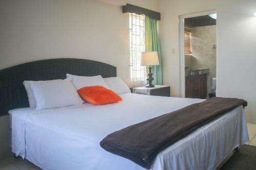 Hostal Afibaviewbeachfrontproperty