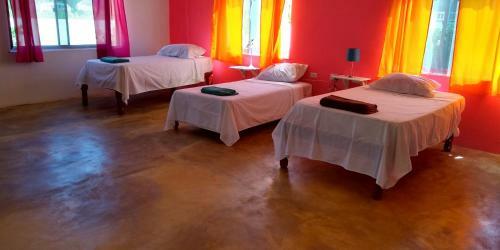 3trees Hostel