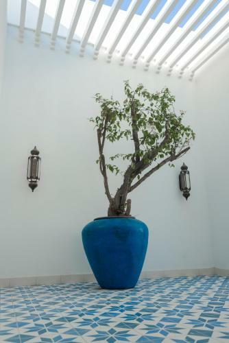 Aparthotel Cloud7 Residences Ayla Aqaba