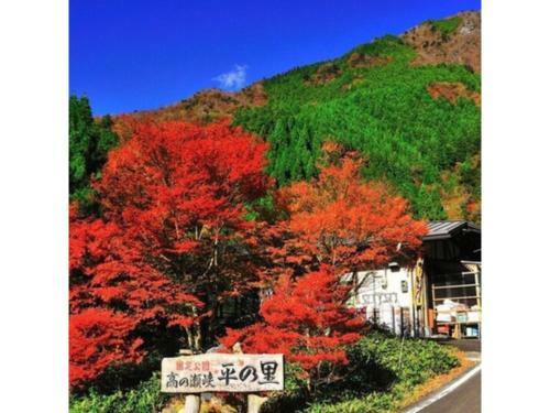 Hotel Sun Ocean - Vacation Stay 84242