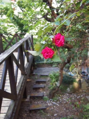 Atami - House / Vacation Stay 3526