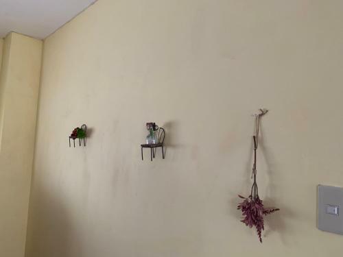 Hostal Stay Sakura
