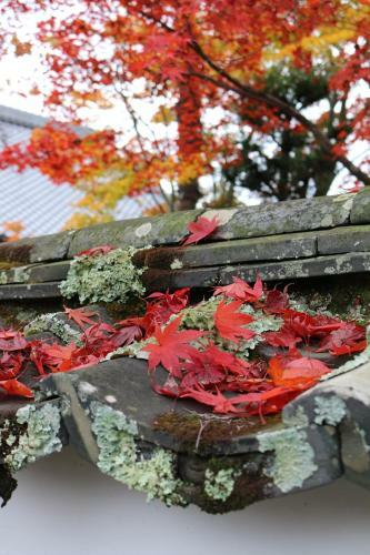 Apartamento Gion Inn