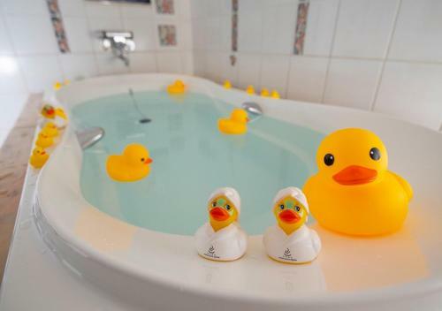 Hotel&spa Siesta ( Adult Only)