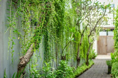 Tjendana Villas Nusa Dua